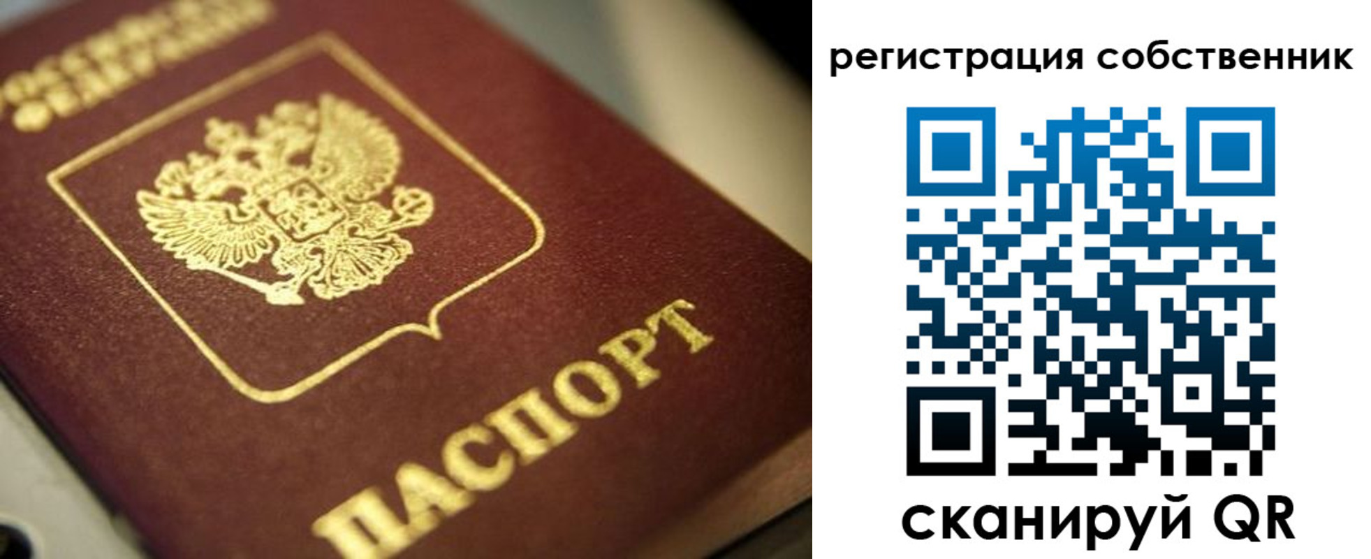 прописка в Михайлове